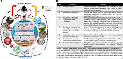 Antimicrobials and Antibiotic Resistance Genes in Water Bodies: Pollution, Risk, and Control